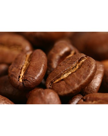 CAFÉ EL SALVADOR (Bourbon)