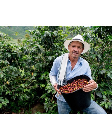 CAFÉ COLOMBIA (Castillo y Tambo)